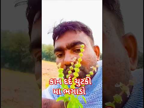 કાન દુખે છે તો? #trending #youtubeshorts #shortsviral #shortsfeed #viralshort #funny #nature #short