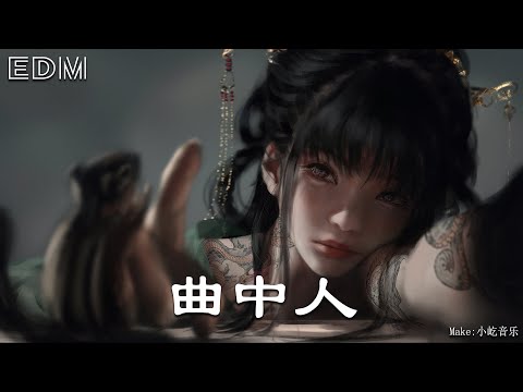 曲中人🎧抖音热门歌曲 🎧 EDM 中文歌曲 华语 Music🎧抖音热门歌曲 🎧 EDM 中文歌曲 华语 Music