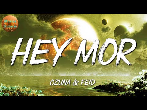 ♩ Ozuna Ft. Feid - Hey Mor | Bad Bunny, Myke Towers, Wisin (Letra\Lyrics)