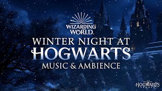 Winter Night at Hogwarts | Harry Potter Music & Ambience, Peaceful Night in Winter ❄️