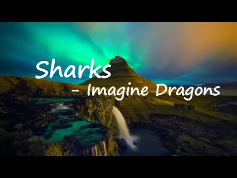 Imagine Dragons - Sharks  Lyrics