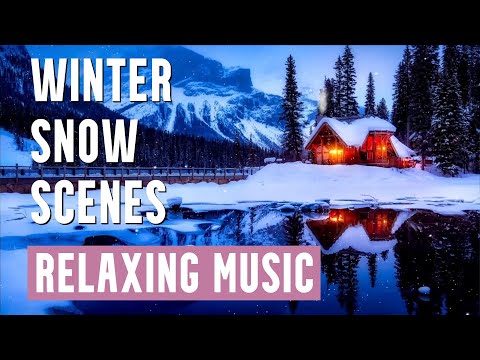 Winter Snow Scenes Ambient Relaxing Music