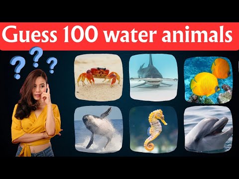 Guess the water Animal Quiz challenge | Fun & Engaging Quiz Video