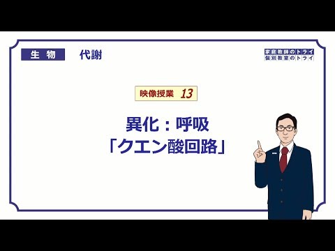 【高校生物】　代謝13　異化：呼吸「クエン酸回路」（１６分）