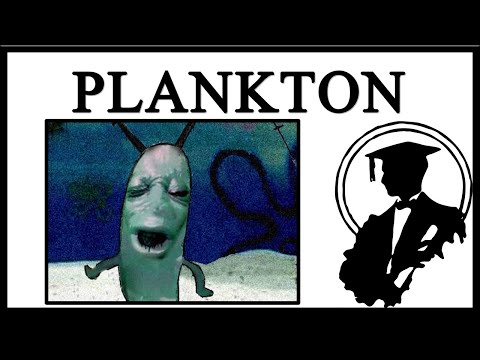 Why Is Plankton Moaning?