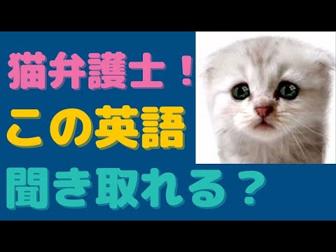 猫弁護士！この英語聞き取れるかな？