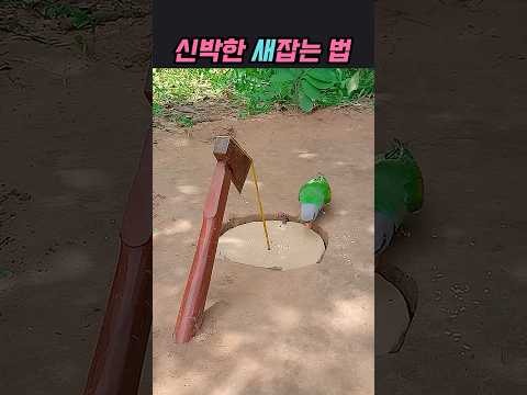 이거만든사람 천재 #아이디어 #새잡는법 #창의력