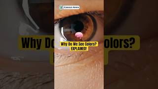 Why Do We See Colors? Explained! #CuriousMindsVN #CuriousMinds