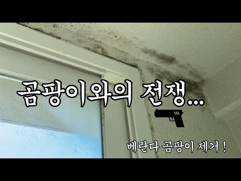 곰팡이 제거 방법 베란다 곰팡이와의 전쟁