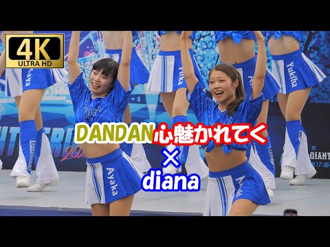 【4K/60P】DANDAN心惹かれてく×diana2024　　＃チア　＃チアダンス　＃DANDAN心惹かれてく