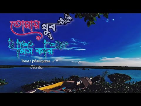 তোমায় খুব মিস করি আমি | True Line | Bangla Sad Story | Heart Touching | Koshtar Status | Priyo