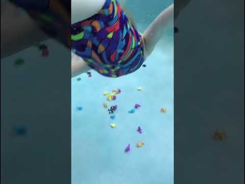 Toy Dive with a Net