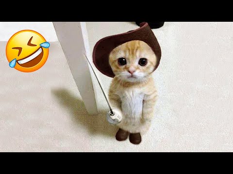 Funniest Animals Video 2024😂 || Try Not To Laugh🤣