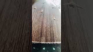 Dubai Mall Waterfall                                #shorts #ytshorts #dubai #waterfall #uae #travel