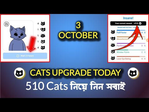 3 October upgrade cats | cat photo upload | cat avatar today