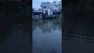 Hyderabad Rains. water in the houses  #hyderabadrains #floods #kgf #rain #disaster #jaibalayya #ktr