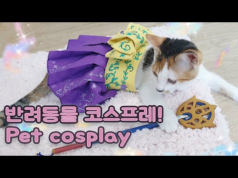 [pet cosplay]  고양이가 파판10 유나 코스프레?