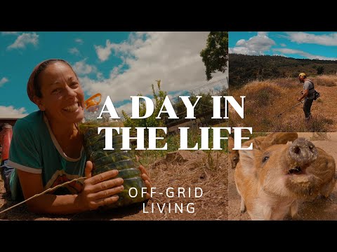 A Day In The Life Of Freedom And Reward - A Peek Into Our Off grid Adventure