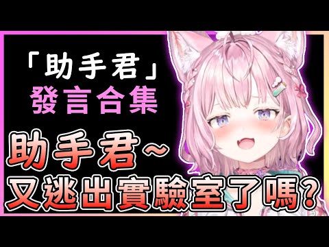 【Koyo的助手君】三年來Koyo與助手君的愛恨情仇!【博衣こより／Hakui Koyori】【博衣小夜璃中文翻譯精華】