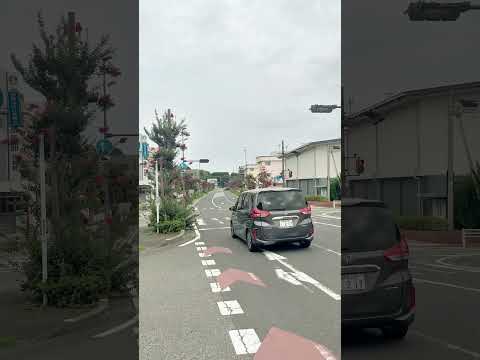 Flower street - Journeys in Japan