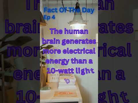 Fact Of The Day| Ep 4| Brain electricity #shorts #trending #viral #brain #electronic