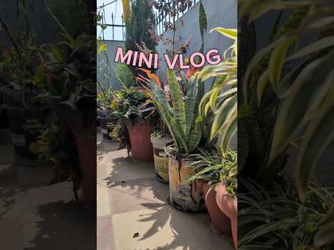 humey nhi pta tha ye darega itna #minivlog #shorts #shortsfeed #ytshorts #ytshortsindia