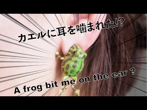 カエルのイヤー噛む/Frog ear chewing (earring)