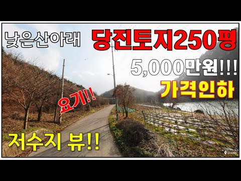 [급매 : 5천만원-]당진저수지보이는땅(토지매매) -산자락아래 저수지옆 약 250평-당진싼땅, 당진급매