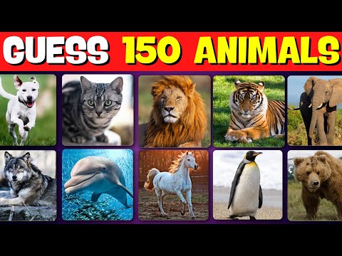 Guess The Animal 🦁🐶🐍 | Random Quizzes