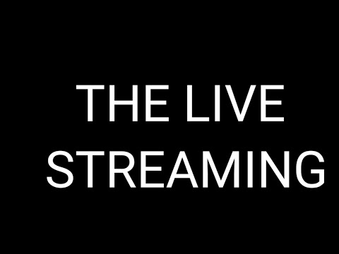 THE LIVE STREAM