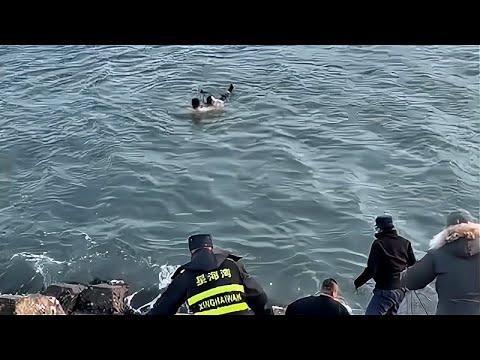 海水冰冷刺骨！大连两男子跳入海中，救险落入海水女子