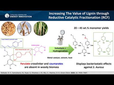 "Valorization of Food and Agricultural Waste into Sustainable Products" - Dion Vlachos