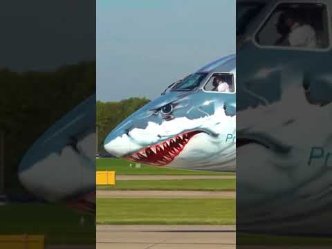 Killer Shark Livery 🦈 | Always Aviation | Please Subscribe For More 😊