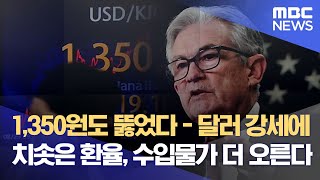 1,350원도 뚫었다 - 달러 강세에 치솟은 환율, 수입물가 더 오른다 (2022.08.29/뉴스데스크/MBC)