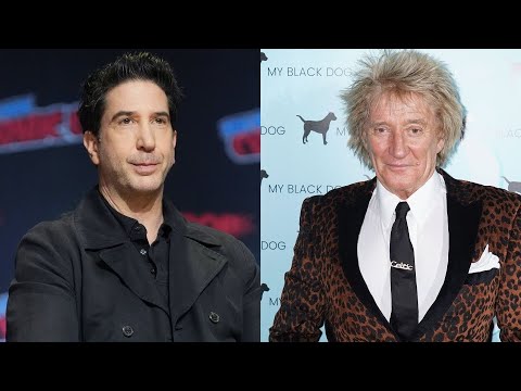 David Schwimmer Reveals He Once Served Divorce Papers to Rod Stewart