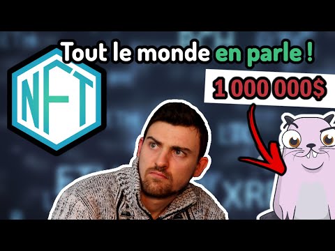 NFT CRYPTO : LE GROS PROBLÈME qu'ils posent...