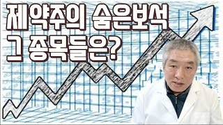 제약주의 숨은보석, 그 종목들은?