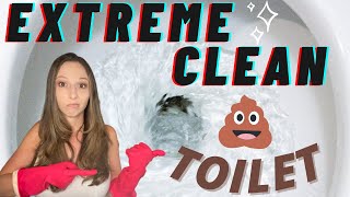 Extreme Clean - Toilet - Step by Step