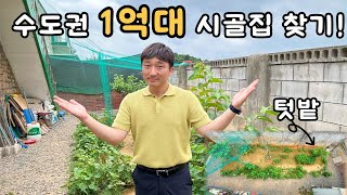 1억대 수도권 시골집 최저가 | 도시가스 사용하는 마당있는 집 | 급매