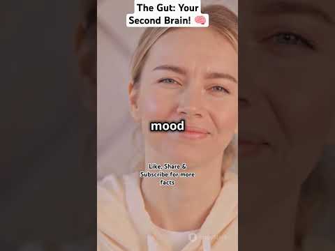 The Gut: Your Second Brain! 🧠 #facts #ytshorts #metaboliccycle #superfoodsecrets #metabolicpathways