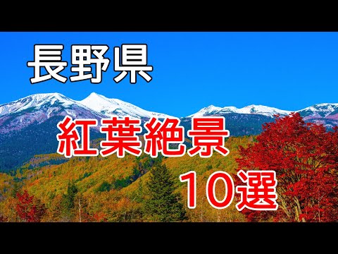 [4K Japan's Autumn Leaves 🍁 10 Spectacular Views] Introducing the ranking of famous spots in Nagano