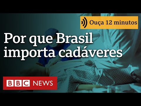 Por que Brasil importa cadáveres para treinar harmonização facial