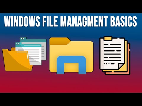 Managing Files with Windows File Explorer Basics