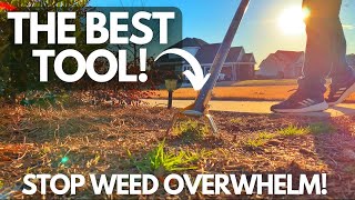 Bye-Bye Weeds: The Best Weeding Tool Revealed!