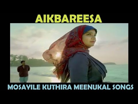 Mosayile Kuthira Meenukal Songs HD | Aikbareesa song | Arun Haridas | Preeti Pillai