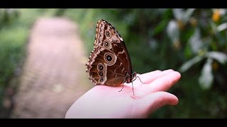 Selvatura Adventure Park | Costa Rica!