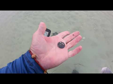 Beach Detecting Destin Florida