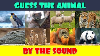 Guess the Animal by the Sound