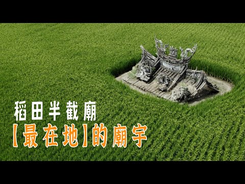 稻田與廢墟融合的絕美奇景，稻田半截廟4K｜台灣真奇廟 EP13