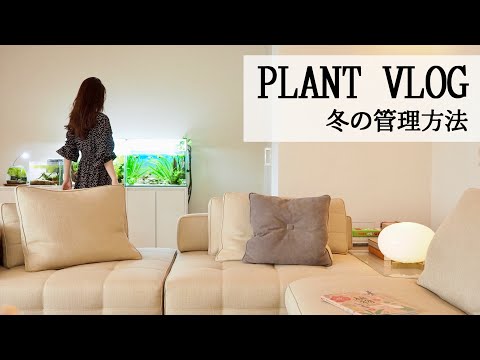 【植物Vlog】冬支度とバイオハザードと銀座のADAラボ